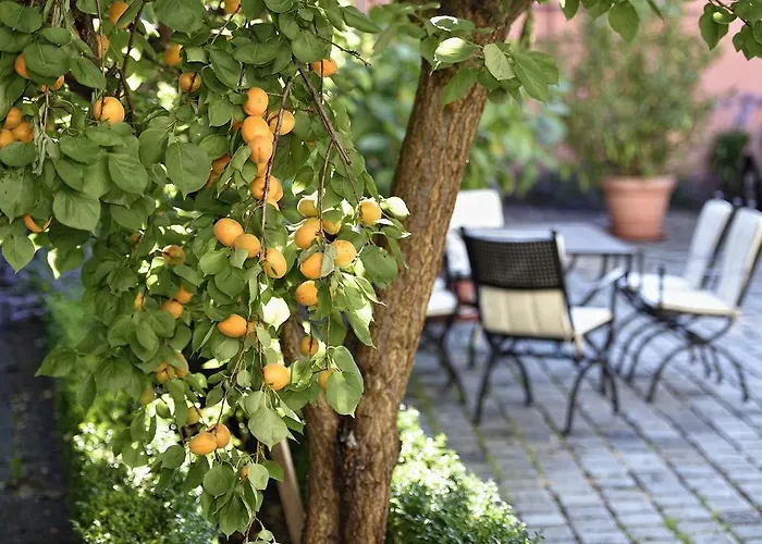 Graf Von Mansfeld 3*